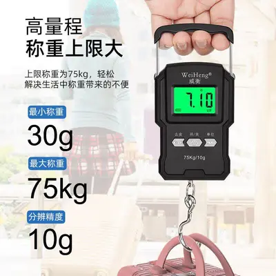 Weiheng rechargeable scale 75kg high precision hook with ruler