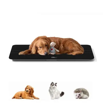 Yeni ev orta ve büyük evcil hayvan ölçeği fabrikası sınır ötesi evcil hayvan hastanesi kedi ve köpek tartı evcil hayvan elektronik tartı - 5