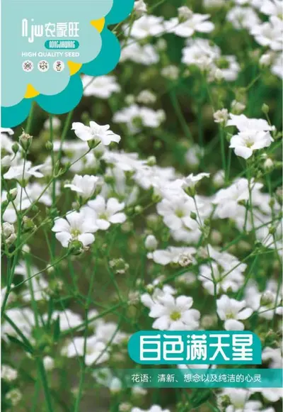 Mixed Flower Seed Set, 9 Varieties Including Cosmos, Sunflower and Lotus - 13