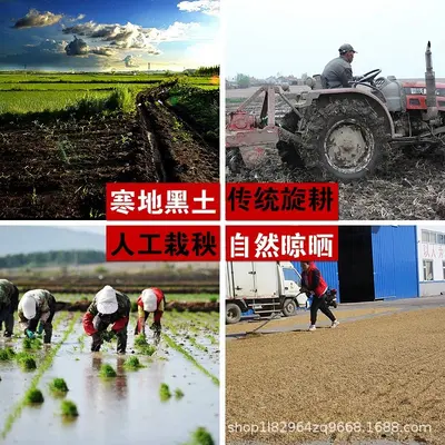 White Round Glutinous Rice 25 kg, New Crop, Bulk, for Zongzi and Rice Wine - 2