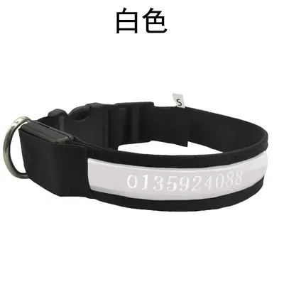 LED Light-Up Dog Collar, USB Rechargeable, Laser Engraved - 8
