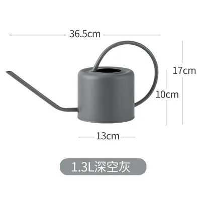 Iron Watering Can with Long Spout, Fine Nozzle for Succulents, Household and Garden - 10