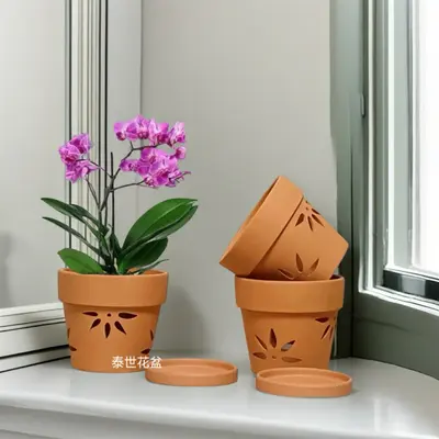 Red Clay Orchid Pot with Cutout Side Wall, Breathable, Hanging Design