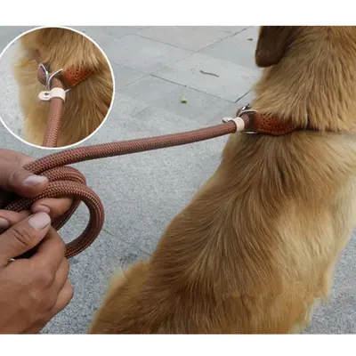 Evcil hayvan tasması çekme önleyici uzatılmış kalınlaştırılmış köpek P-tasma taşınabilir acısız köpek eğitimi P-zinciri büyük köpekler için dış mekan kullanımı için