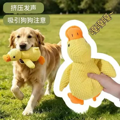Hundespielzeug Gelbe Ente Plüschspielzeug Selbstbeschäftigung Langeweile vertreiben bissfest Zahnpflege-Kauspielzeug Quietschspielzeug Hundespielzeug Haustierspielzeug
