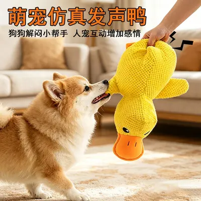 Plush Duck Dog Toy, Durable Chew Toy with Squeaker - 3