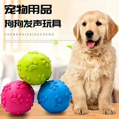 Durable Puppy Teething Training Ball with Squeaker - 2