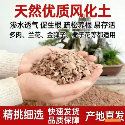 Bonsai Soil Mix with Akadama, Acidic Soil and Red Sand Granules - 4