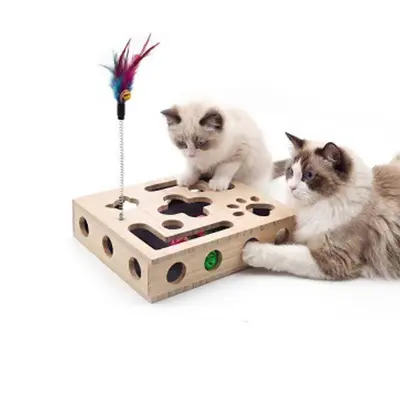 Solid Wood Maze Cat Toy, Square Self-Play Puzzle Box - 10