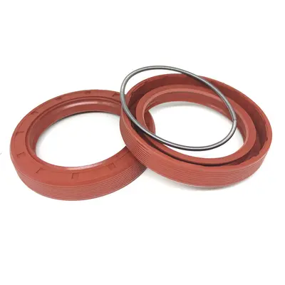 TG4/TC/SC Nitrile and Fluororubber Skeleton Oil Seal, Non-Standard
