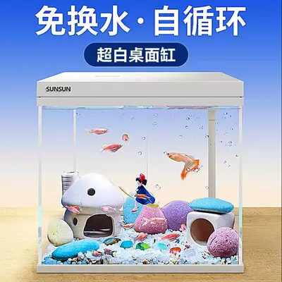 HEJ Mini-Aquarium aus extra klarem Glas mit Sauerstoffanreicherung, Tischaquarium