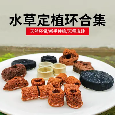 Aquarium Plant Anchoring Ring Set, Volcanic Stone and Ceramic, for Moss and Stem Plants