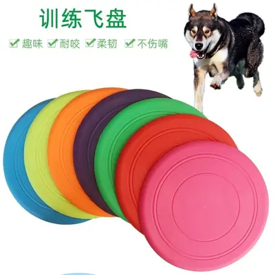Dog Frisbee, Chew-Resistant, Non-Toxic, Floating - 2