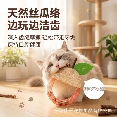 天然丝瓜络猫啃咬玩具木天蓼虫瘿果洁齿磨牙水果造型自嗨解闷用品