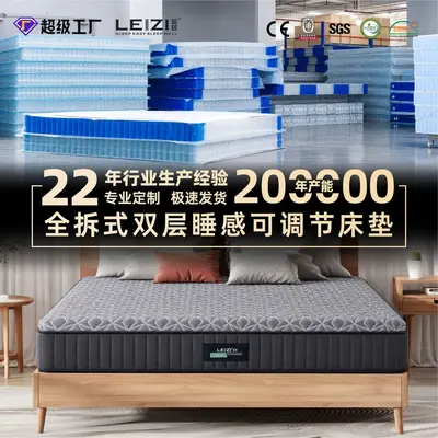 Layz Silent Independent Pocket Spring 0-Pressure Memory Foam Mattress DIY Sleep Feel Multifunctional Combination Cool Ice Silk Removable Cover