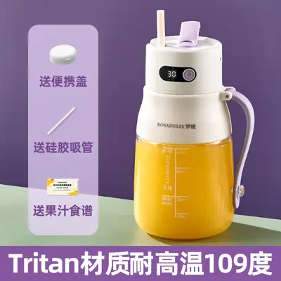 Fruit juicer, portable, large capacity - 9