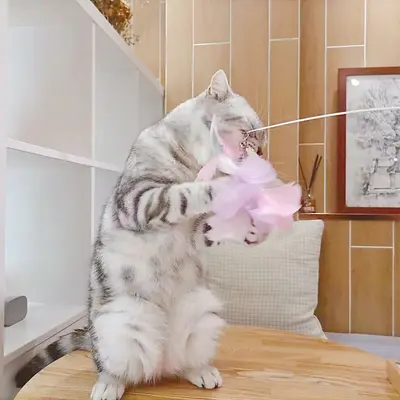 Katzenangel mit Pfauenfeder und Glöckchen, bunt - 4
