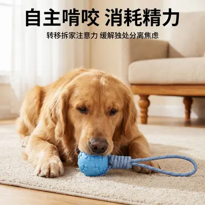 Chew-Resistant Elastic Rope Knot Ball for Dogs, Teeth Cleaning