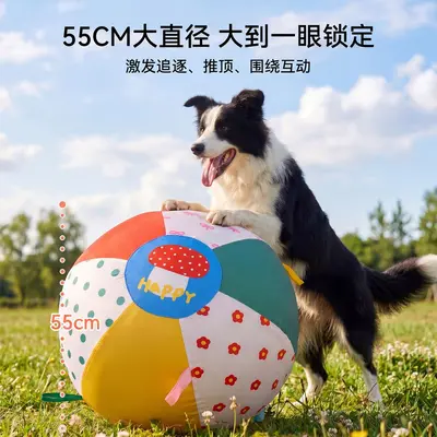 Giant Dog Ball for Large Dogs, Outdoor Chase Toy