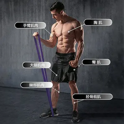 TPE Resistance Band with Pull Rope and 2080 Resistance Loop - 4