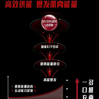 sparklevita湃力维肌酸锌镁一水肌酸粉运动健身补剂增肌爆发耐力
