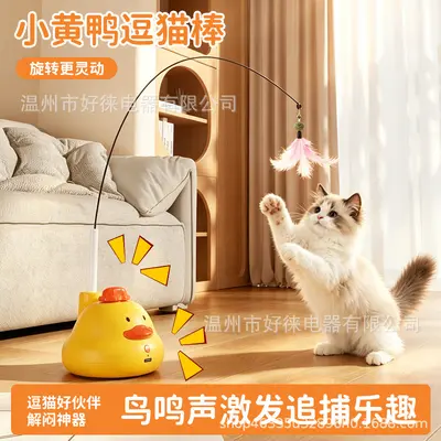 Cat toy wand with feathers and bell