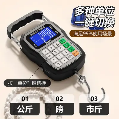 50kg portable hanging scale with voice announcement