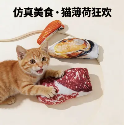 Realistic Salmon Mussel Steak Catnip Toy for Cats, Self-Play