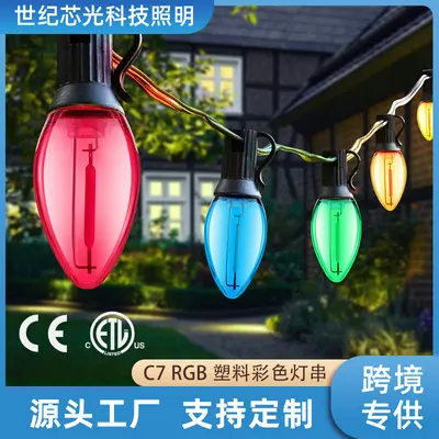 7.6 m Colorful LED Outdoor Christmas String Lights, Plastic