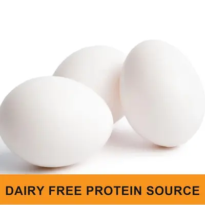 亚马逊 TK跨境供应 蛋清蛋白粉 Egg White Protein Powder 厂家
