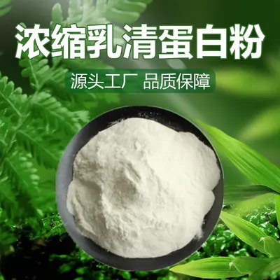 浓缩乳清蛋白粉 90%  蛋白固体饮料  食品级 现货 支持拿样