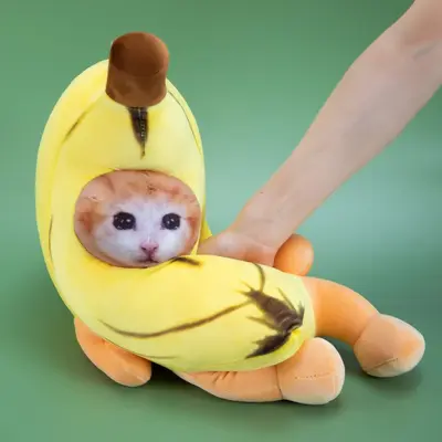 Bibilabu Plush Toy, Banana Kitten and Shield Dog Doll