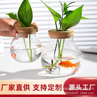 High Borosilicate Glass Hydroponic Plant Bottle, Desktop Vase and Betta Tank - 4