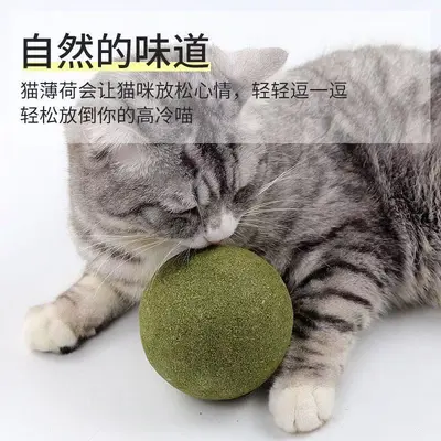 Catnip Ball 10 cm Cat Toy, Chew Teething Cat Grass Ball - 3
