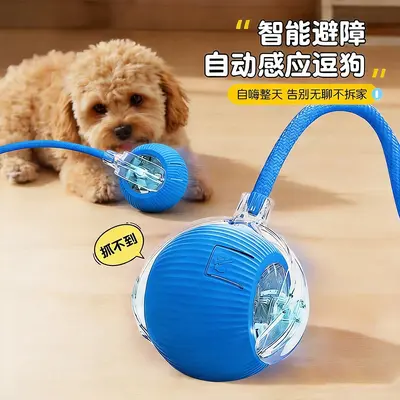 Smart Rolling Cat Teaser Ball, Self-Play Toy - 12