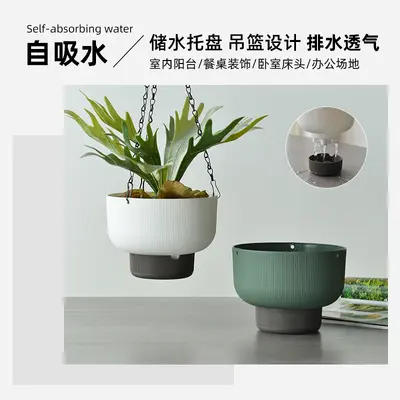 Hanging Self-Watering Plastic Planter for Trailing Plants and Pothos - 5