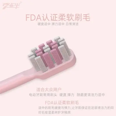 Adult Electric Sonic Toothbrush, Waterproof, USB Rechargeable, Soft Bristles - 5