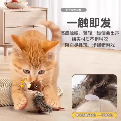 Kedi Oyuncağı Kuş Fare Ses İçeren Dayanıklı