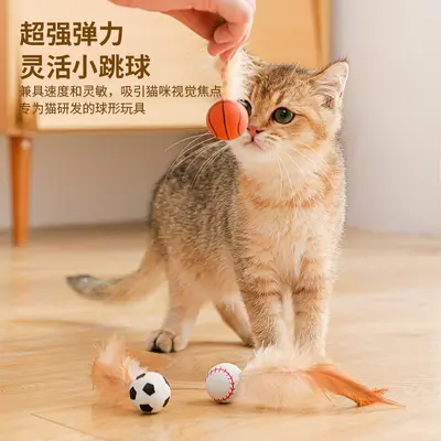 猫猫玩具弹力球羽毛逗猫棒猫咪玩具自嗨解闷神器消耗体力宠物用品 - 3