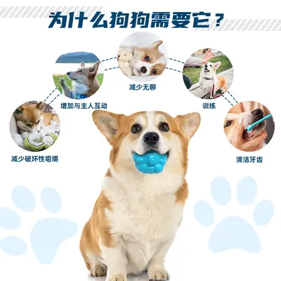 跨境新品狗狗磨牙玩具橡胶发声动物系列小狗啃咬宠物玩具外贸批发