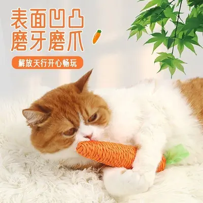 Cat Toy Set with Catnip Fish, Teaser Wand, Silvervine Chew Stick and Carrot - 5