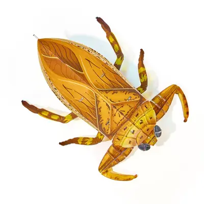 Acrylic 3D Insect Puzzle Model with Building Blocks - 12
