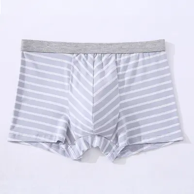 Pure Cotton Men's Boxer Briefs, 3D Seamless, Striped Print, Plus Size - 7