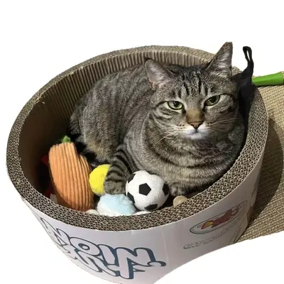 High-Elasticity Football Cat Toy Ball, Durable - 6