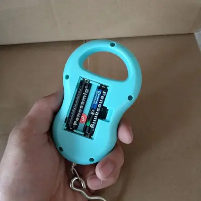Toptan 803 yüksek hassasiyetli dijital terazi ev el çantası ölçeği kabak ölçeği 50 kg mini kanca ölçeği balıkçılık bagaj ölçeği - 4