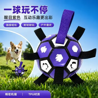 Köpek diş kaşıma topu, kauçuk, küçük ve orta ırk köpekler için - 4