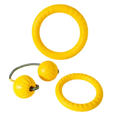 Durable Chew Tug Ring and Frisbee Dog Training Toy - 6
