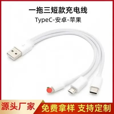 1-zu-3/1-zu-4 USB TYPE-C 4-in-1 Ladekabel