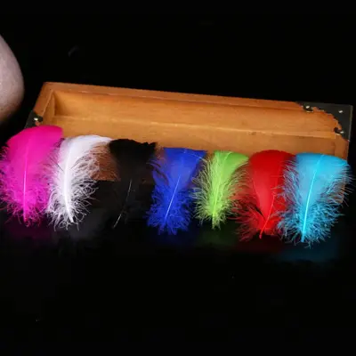 36 Colours Small Dyed Swan Feathers for DIY Jewelry - 3