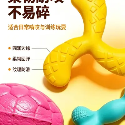 EVA Dog Chew Toy, Floating Frisbee - 5